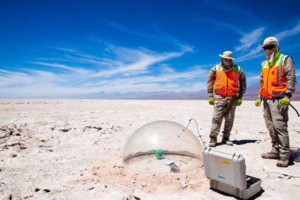 <p>Albemarle: “Seguiremos colaborando con el gobierno de Chile sobre la propuesta de Estrategia Nacional de Litio"</p>