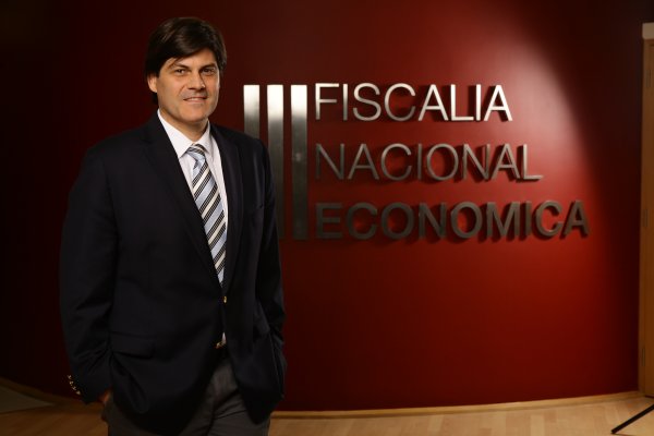 <p>El jefe de la División Antimonopolios de la FNE, Gastón Palmucci. </p>