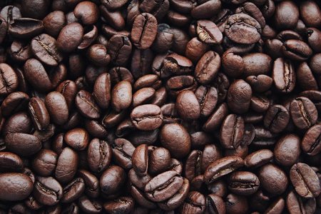 Perú podría dejar de exportar el 50% de su café ante nuevas normas de la Unión Europea