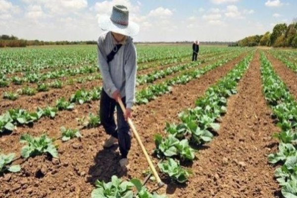 <p>La inseguridad alimentaria aguda llegó a 18 millones en Latinoamérica en 2022</p>
