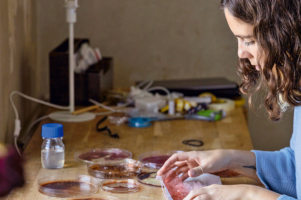 <p>La instalación con biotextiles que representará a Chile en la Bienal de Diseño de Londres</p>