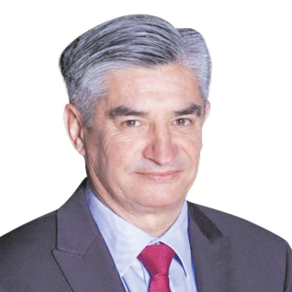 La Constitución hecha bolsa