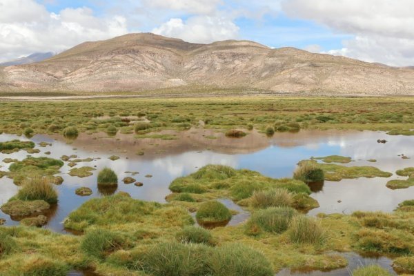 <p>Euroclima contribuirá a la implementación de la Agenda de Inversión Global Gateway para atraer proyectos que contribuyan a la transición verde.</p>