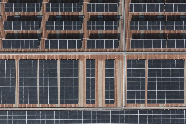 Unibag comenzó a producir sus bolsas reutilizables vegetales con energía solar autogenerada