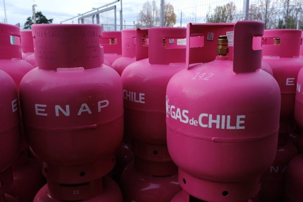 Molestia transversal en la Cámara Baja por alto costo de piloto de ENAP para venta de gas licuado