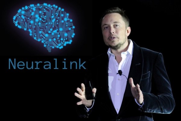 <p>Neuralink, la firma de implantes cerebrales de Elon Musk, recibió autorizó para primeras pruebas en humanos</p>