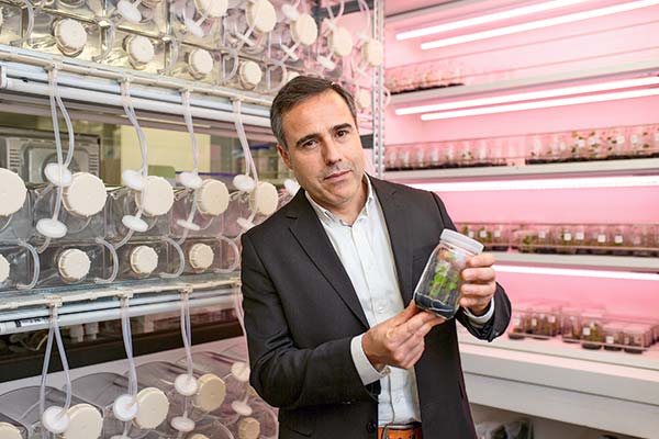 Las nuevas líneas de trabajo del Centro de Investigación e Innovación de Viña Concha y Toro