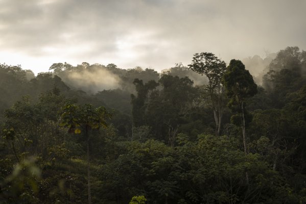 Grupo de Cambio Climático de las Naciones Unidas trabaja para definir los mercados de carbono