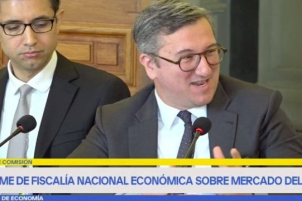 Fiscal Nacional Económico y mercado de GLP: "En la medida que recepcionen nuestras recomendaciones, podrían avanzar para generar un precio justo"