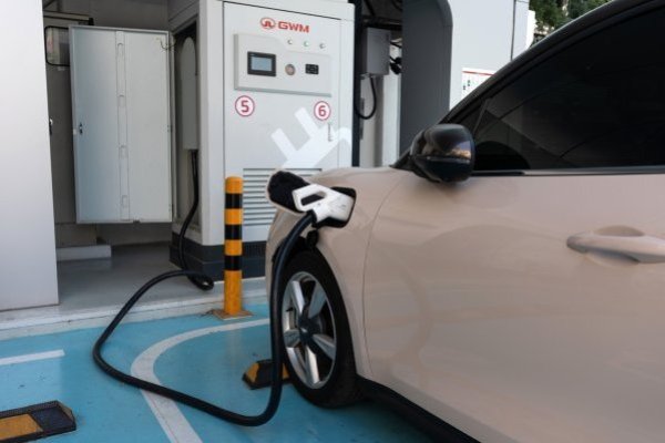 <p>Alrededor del 30% del parque mundial seguirá consumiendo gasolina y gasóleo en 2050.</p>