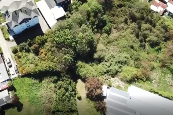 Tribunal Ambiental rechaza reclamación de inmobiliaria por humedal urbano en Puerto Varas: "no es impedimento para el desarrollo de actividades económicas"