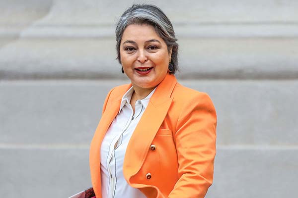 Reforma de pensiones: reorganización de la industria sería acotada y Gobierno se abriría a flexibilizar rol del ente público