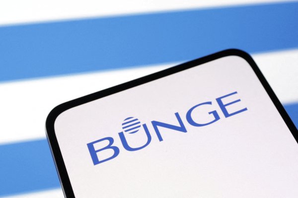 Bunge refuerza con Viterra su dominio en semillas oleaginosas y su potencial en diésel renovable
