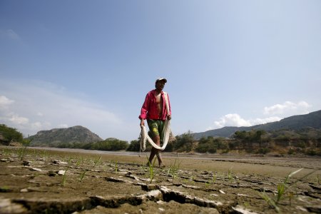 Opinión FT: Llegada de El Niño expone difíciles opciones sobre el clima