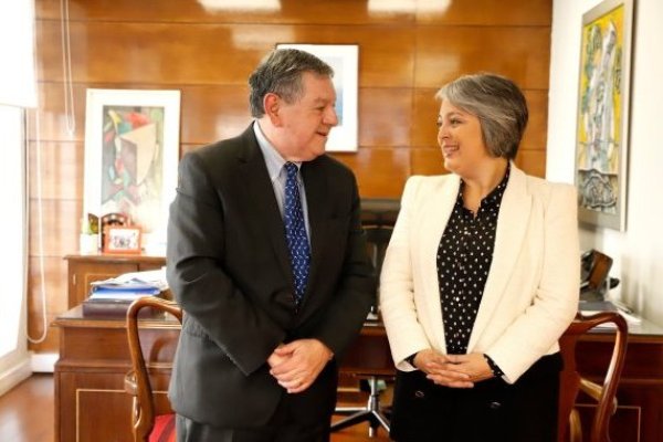 ¿Quién es Claudio Reyes?: El perfil del nuevo fichaje de La Moneda que aterriza en la Subsecretaría de Previsión Social