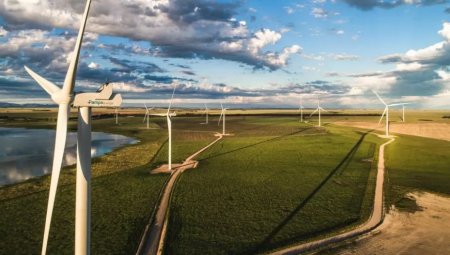 Pampa Energía habilitó la totalidad de su quinto parque eólico y ya prepara el sexto