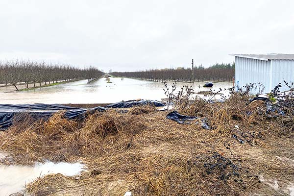 <p>Agricultores alertan por daños en infraestructura y Gobierno anuncia primeras medidas de ayuda</p>