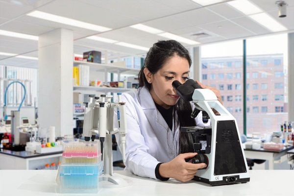 Nadac Reales, la biotecnóloga que creó un proceso sustentable para recuperar desechos de la minería