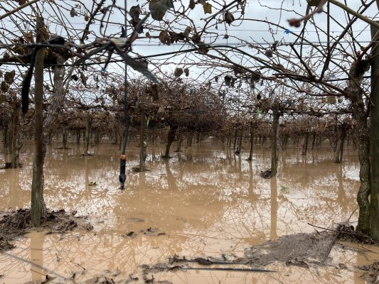 Inundaciones afectan diversas zonas agricultoras del país tras intensas lluvias
