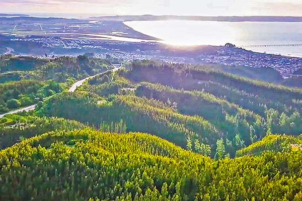 <p>SEA del Biobío pone término anticipado a proyecto de Tierras Raras en Penco</p>