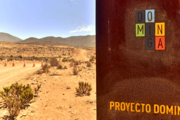 Medio Ambiente respalda a seremi tras acusación de Dominga de omitir información al Consejo de Ministros: "Fue una confusión del momento"
