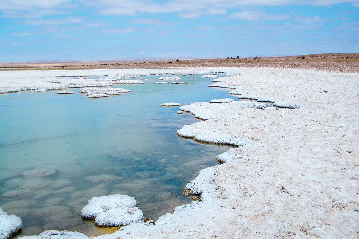 <p>Llamara, el desconocido salar que contiene litio y tierras raras que miran inversionistas extranjeros</p>