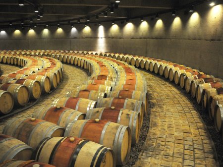 Viñas latinoamericanas entre las mejores del mundo: 7 son chilenas, 6 argentinas y 2 uruguayas