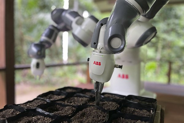 YuMi, el robot a energía solar que busca automatizar la reforestación de la Amazonía peruana