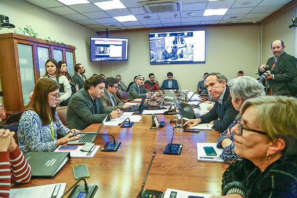 <p>El 26 de julio comienzan a discutirse las indicaciones en el Congreso.</p>
