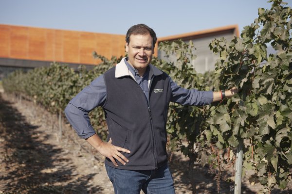 Santa Ema afronta la menor exportación de las viñas apostando por nuevos mercados internacionales