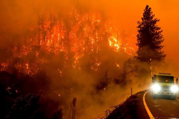 ¿Son los incendios forestales cada vez más incontrolables y destructivos?