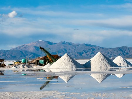 Gigante de los commodities y minera francesa firman acuerdo por US$ 400 millones para vender litio argentino