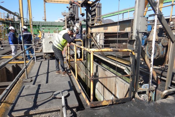 SMA formula ocho cargos a la termoeléctrica Guacolda por afectar especies marinas e incumplimientos
