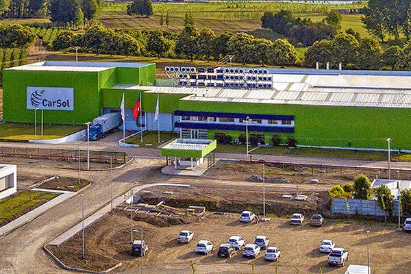 <p>Uno de los mayores productores de arándanos de Chile y filial inician reorganización financiera: deudas superan los US$ 115 millones</p>
