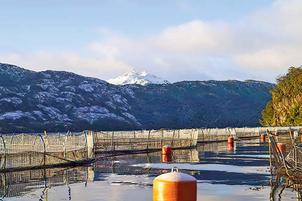 <p>Moneda se suma a los Solari Donaggio y se querella contra exdirectores y representante del controlador de Nova Austral</p>