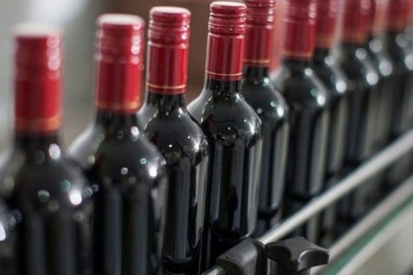 <p>Escala la guerra de bodegas: chilena Concha y Toro es llevada a juicio en EEUU acusada de usurpar la marca Patagonia</p>