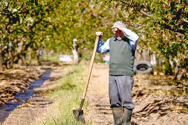 Casen 2022 ratifica la persistente brecha de la pobreza entre el mundo rural y la ciudad