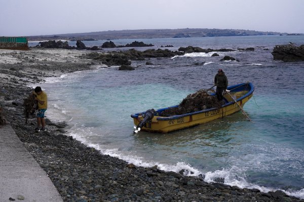 Consejo de Ministros aprueba la creación de un área marina protegida en La Higuera