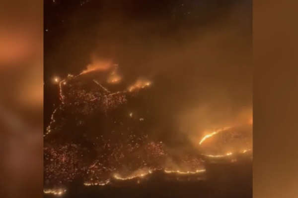 <p>Ahora en DF | 53 fallecidos en Hawái por los feroces incendios forestales</p>