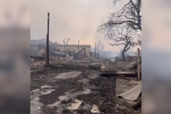 <p>Ahora en DF | Aumenta a 96 la cifra oficial de fallecidos por los incendios en Hawái</p>