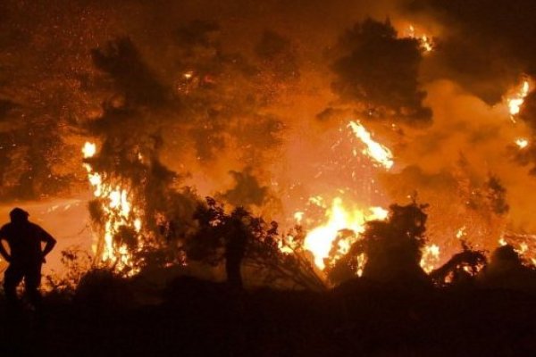 La tecnología satelital se instala como herramienta clave para la gestión de incendios en el hemisferio norte