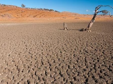Cinco regiones peruanas reducirán sus cultivos en campaña 2023-2024 por los efectos de El Niño