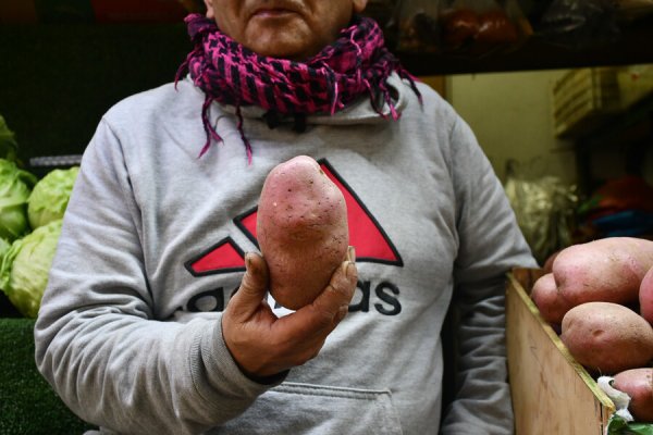 Agricultura anuncia que por alzas de precio de verduras pedirá a la FNE abrir investigación por sospecha de colusión