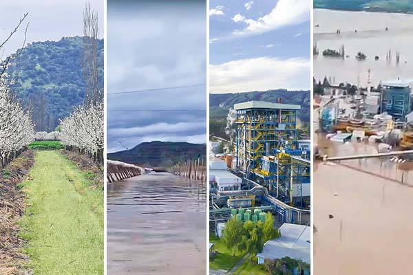 <p>Sistema frontal: se abre flanco por expectativas de alza de precios y Agricultura dice que irá a la FNE</p>