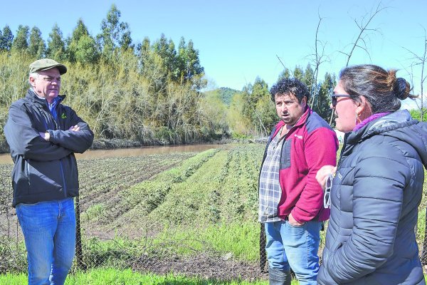 <p>El presidente de la SNA, Antonio Walker, recorrió predios de agricultores en O’Higgins.</p>