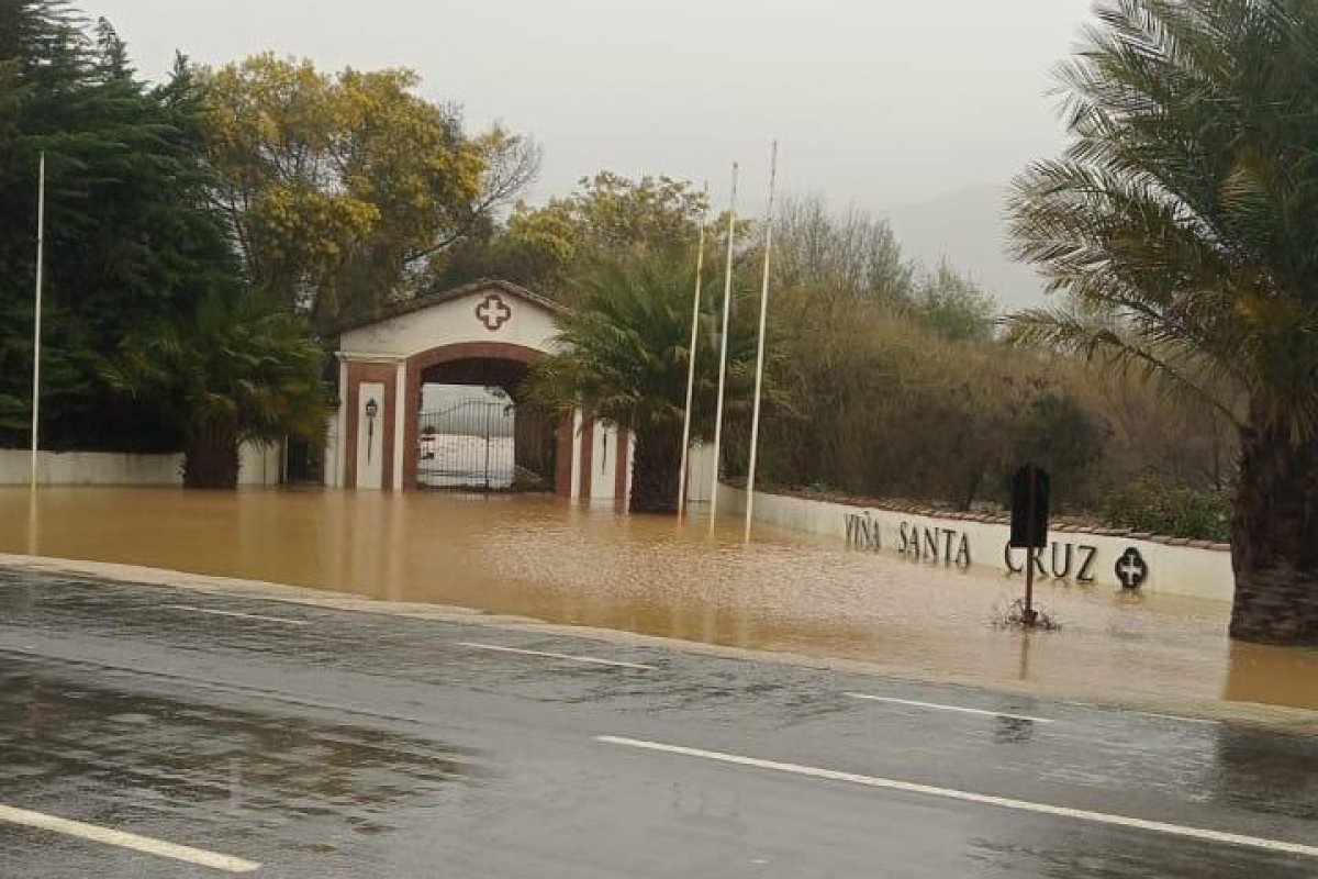 <p>"Lo perdimos todo": 4 testimonios de un temporal</p>