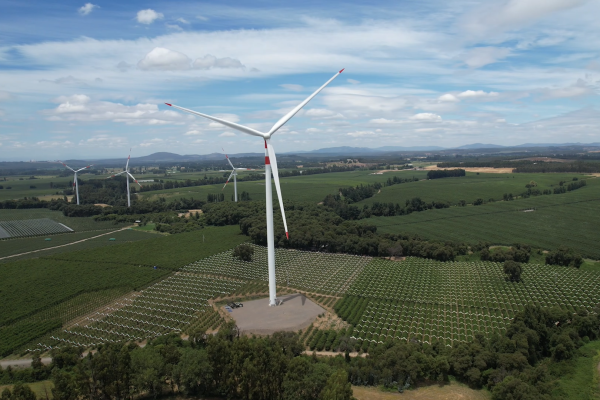 Enel Green Power Chile inicia operación comercial de parque eólico en La Araucanía