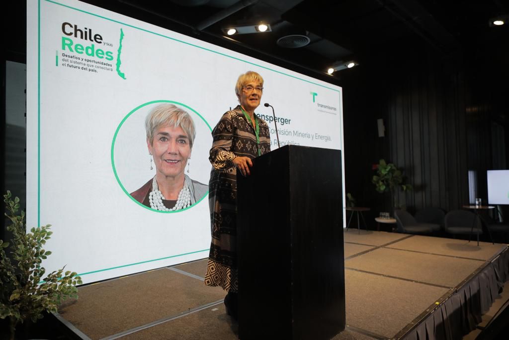 <p>Senadora Ebensperger asegura que proyecto de transición energética "es una regulación parche para salvar a un sector"</p>