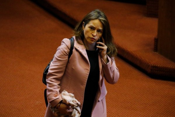 Joanna Pérez (Demócratas) por reforma de pensiones: "Estamos disponibles a ceder en la medida que el Gobierno también ceda"