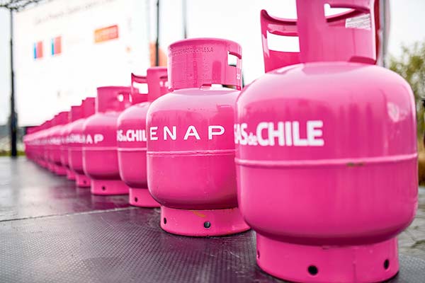 Contraloría se pronuncia por plan piloto gas a precio justo: "No se ven actuaciones que pudieran implicar una vulneración a la probidad administrativa"